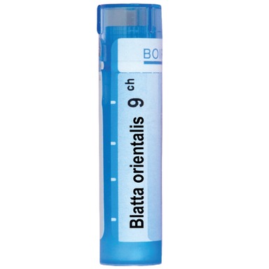Blatta orientalis 9CH Boiron